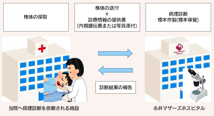 連携病理診断